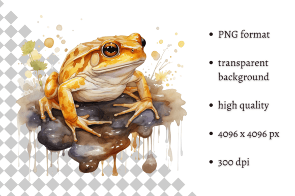 Download Watercolor Frog Illustration - Illustration Collection